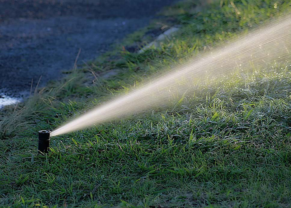 Lawn sprinkler head spraying water across green grass in residential yard